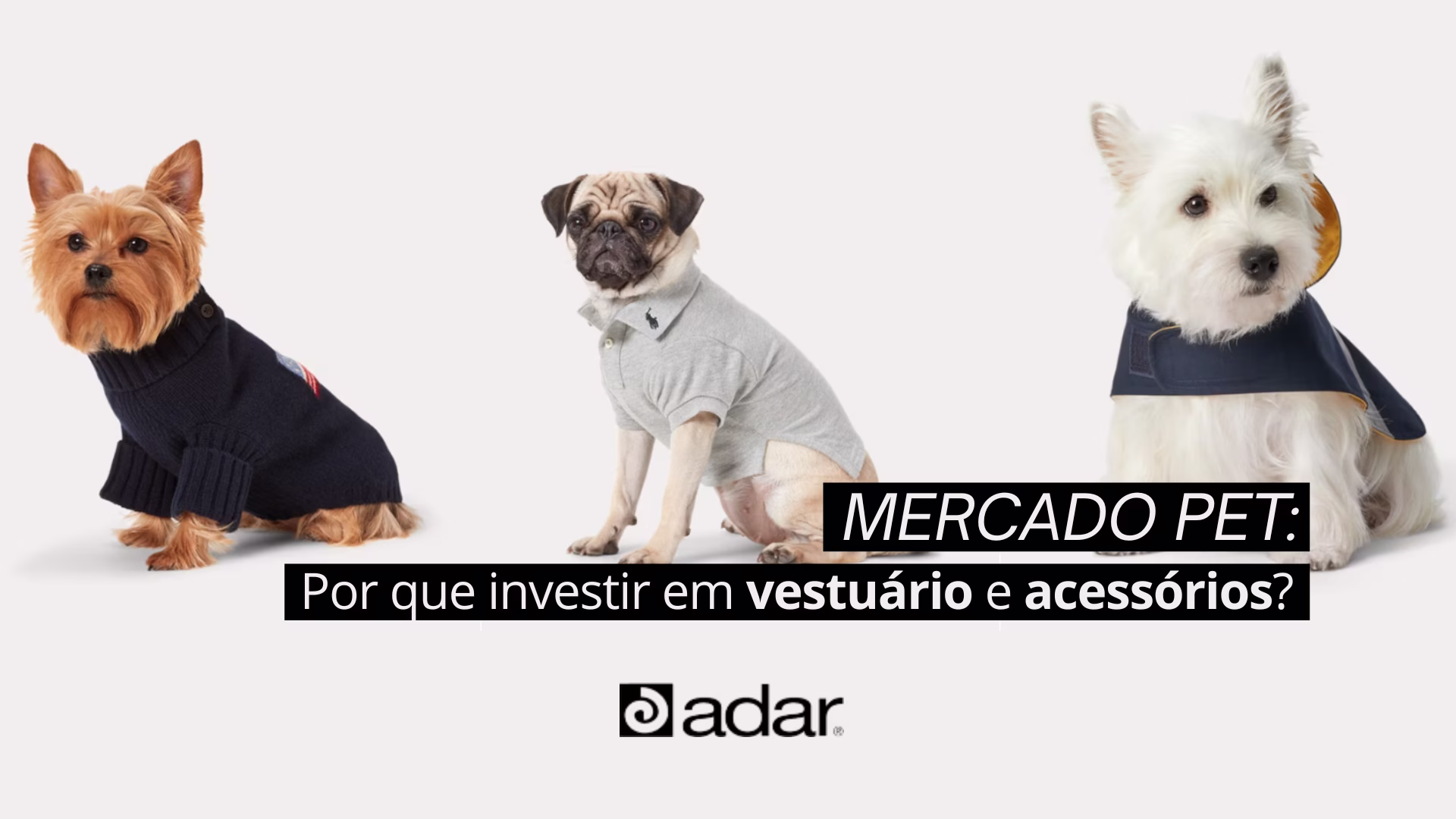 Mercado Pet