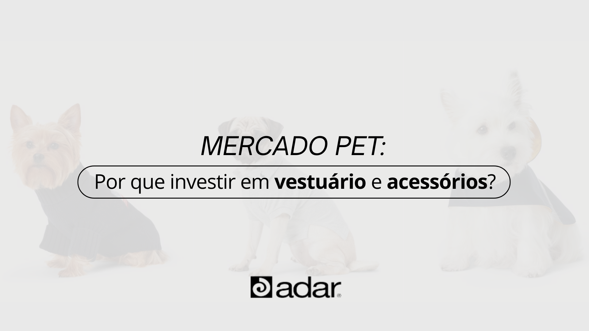 Mercado Pet vestuário e acessórios
